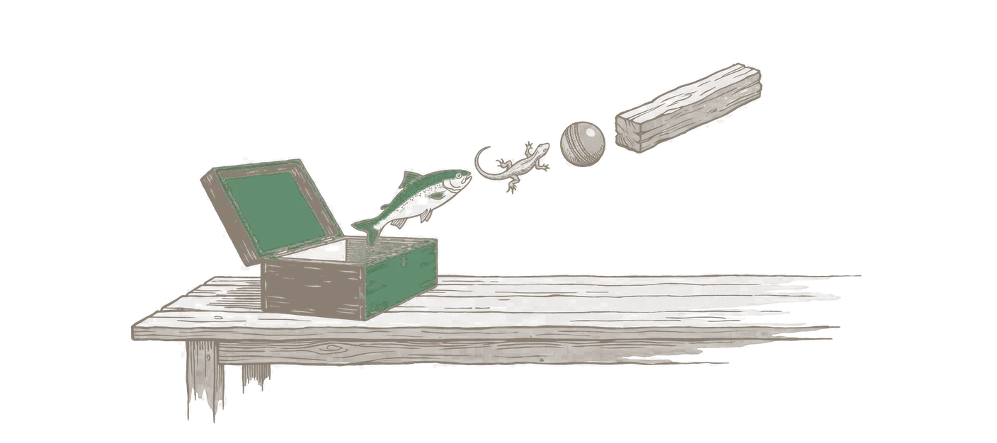 Woodblock print: an open despatch box on a long table, and rising from it in a thin procession a fish, a lizard, a cricket ball and a billet of timber; the fish in green.